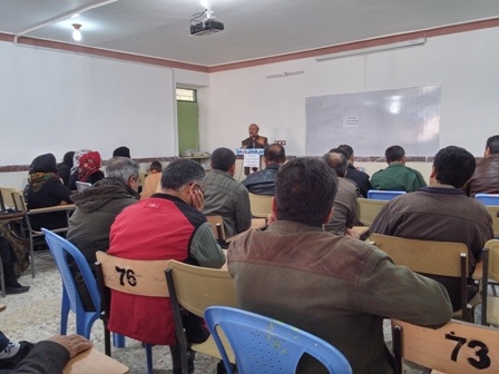 بازاریابی شبکه ای